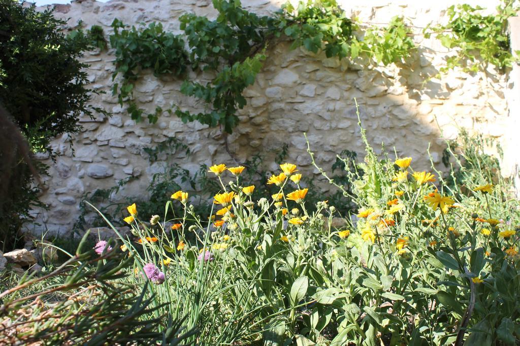 La Montagute Villa Thezan-des-Corbieres Exterior foto